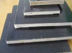 中通建材 構(gòu)筑未來(lái)的堅(jiān)固基石